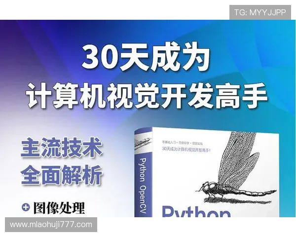 揭秘老虎机设计原理图中的常见问题与解决方案帮助开发者提升游戏稳定性与用户粘性的重要参考资料