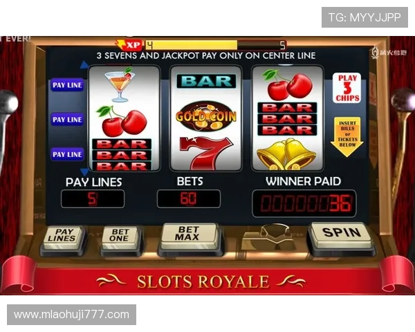 老虎机官方下载官方平台，提供丰富多样的游戏选择与优质服务