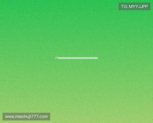 PP幸运欢乐轮活动时间安排及奖励规则详解,让你轻松把握每次转盘机会